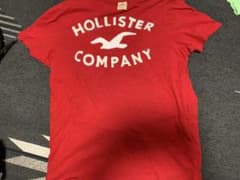 ホリスター アバクロ Tシャツのサムネイル