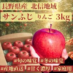 サンふじ りんご 3kg 農家直送 家庭用 リピート多数！長野県北信地域