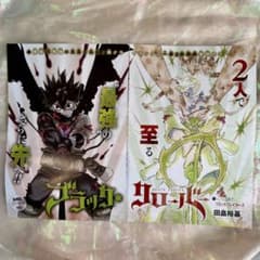 m83641577589_1.jpg?1767590596