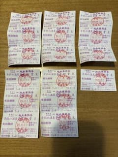 一畑山薬師寺　入泉券　2026年12月31日までのサムネイル