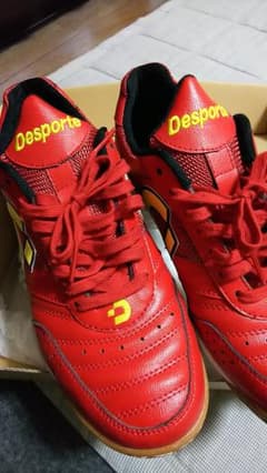 Desporte☆スニーカー☆靴のサムネイル