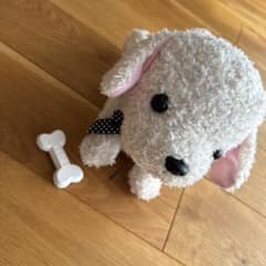 セガトイズ　ココさかだちしてのサムネイル