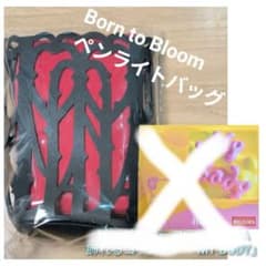 HANA ペンライト ペンライトバック 未使用HANA ペンライトバッグ - メルカリ