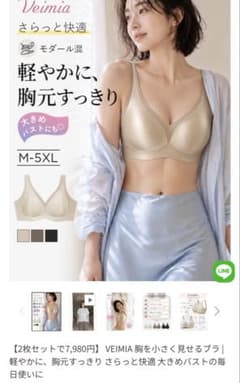ヴァーミア　ブラVeimia ブラジャー ベージュ Lサイズのサムネイル