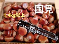 生栗　国見　小ぶり　一粒3.5センチ前後のサムネイル
