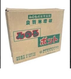 Gk様専用 みのるポット - 2