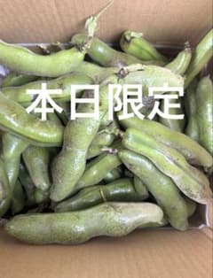 新潟県産 空豆 新鮮 朝採り - メルカリ