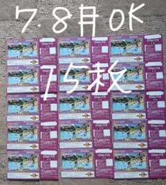 15枚 7月8月可能 東京 サマーランド 1DAYパス 株主招待券 匿名配送