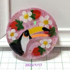 オニオオハシ（訳あり）　レジンヘアゴム　イチゴ オニオオハシ（訳あり） レジンヘアゴム イチゴ - メルカリ