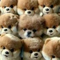 プロフ必見さん専用のサムネイル