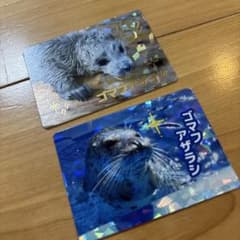 ほ*ん様 神戸須磨シーワールド コレクションカード　シャチ SR ゴマフアザラシ 神戸須磨シーワールド】 コレクションカード SR ゴマフアザラシ 2種