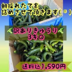きゅうり(訳あり！)3kg。早くて本日発送！日付指定×のサムネイル