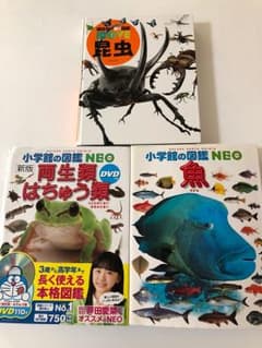 図鑑(昆虫,魚,両生類はちゅう類)3冊セット DVD2枚つきのサムネイル