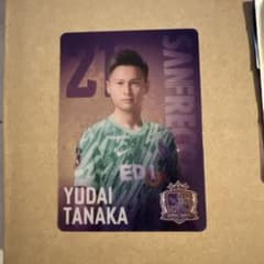 田中雄大 サンフレッチェ広島　グッズのサムネイル