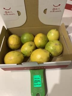 国産レモン   無農薬　1,163gのサムネイル