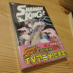 SHAMAN KING 7