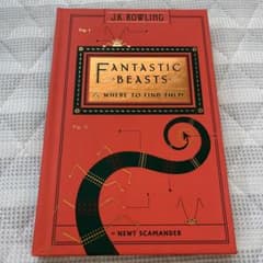 FANTASTIC BEAST  Where to find themのサムネイル