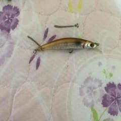 ルアーのサムネイル