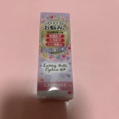 キャンメイク ラスティングマルチアイベース WP 01のサムネイル