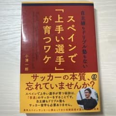 自主練もドリブル塾もないスペインで「上手い選手」が育つワケのサムネイル