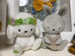 植物図鑑　ぬいぐるみセットのサムネイル