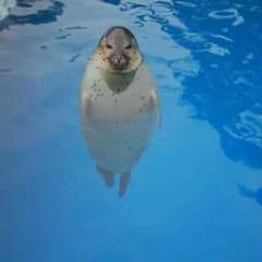 サトシさん専用のサムネイル