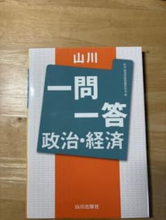 一問一答 政治・経済 山川出版社のサムネイル