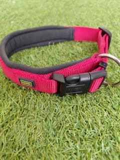 HUNTER 犬用首輪 レッド クッションパッド付きのサムネイル