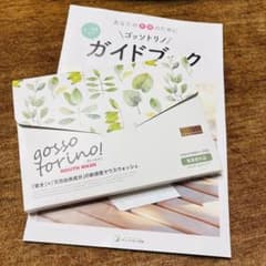 ゴッソトリノ　MOUTH WASH 30包のサムネイル