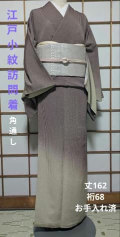 江戸小紋 角通し 付下げ訪問着 丈162 裄68 パールトーン加工