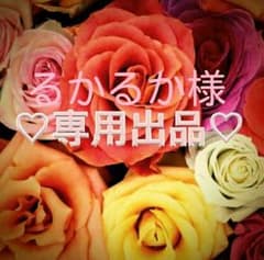 るかるか様♡専用ページのサムネイル