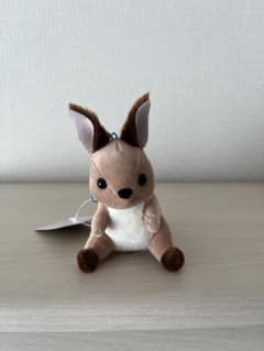 くったりエゾリス VMC ライトブラウン タグ付き新品 - メルカリ