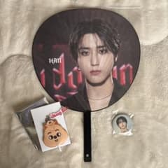 Stray Kids HAN ハンジソン domin ATE まとめ売りのサムネイル