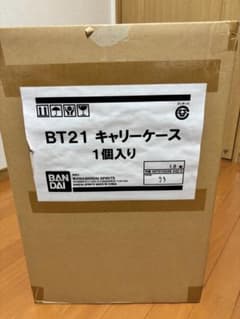 BT21 캐리 케이스