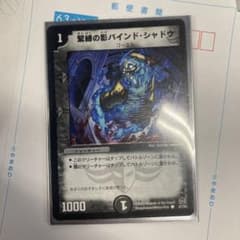 バインド•シャドウのサムネイル