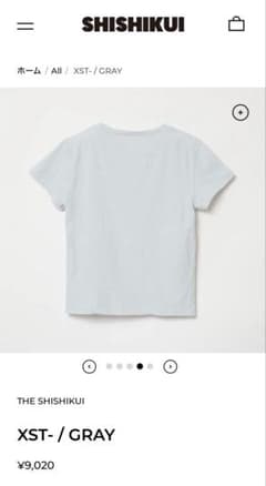 シシクイ THE SHISHIKUI XST / GRAY 短丈 ネップTシャツ - メルカリ