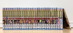 僕のヒーローアカデミア 1-30巻 + 公式ファンブック他のサムネイル