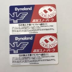 ダイナランド&高鷲スノーパーク　1日リフト券2枚/おまけ付きのサムネイル