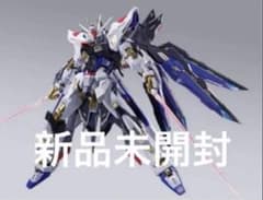 ストライクフリーダムガンダム METAL BUILD FESTIVAL 2024のサムネイル