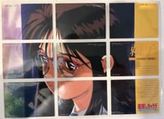 逮捕しちゃうぞ アマダ トレーディングカード 9枚セットのサムネイル