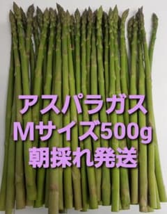 グリーンアスパラＭサイズ500g