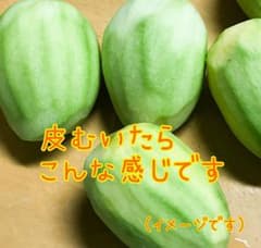 グリーンマンゴーミニ 1キロ(漬物・サラダ用)※必ず説明読んで下さい！のサムネイル