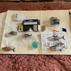 海洋堂カプセルQミュージアムなど　マグロのサムネイル