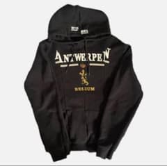 VETEMENTS ANTWERPEN パーカー M 美品のサムネイル