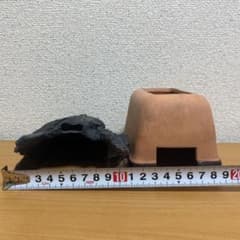 爬虫類用品 ウェットシェルターのサムネイル