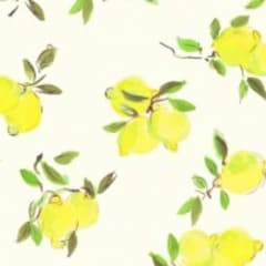 【しろちゃとら様専用】のサムネイル