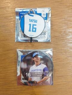 ファイターズ 缶バッジ&キーチェーンセット 達孝太のサムネイル