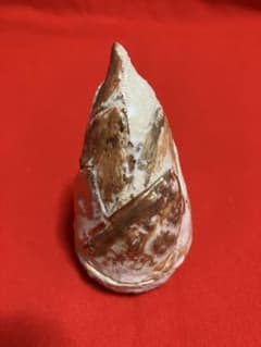 茶道具　香合 筍形のサムネイル