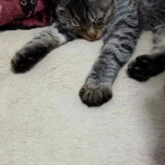 DVさん専用のサムネイル