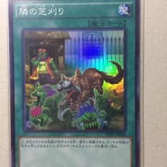 隣の芝刈りのサムネイル